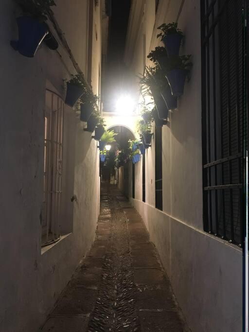 Apartamento El Templo Córdoba Exterior foto